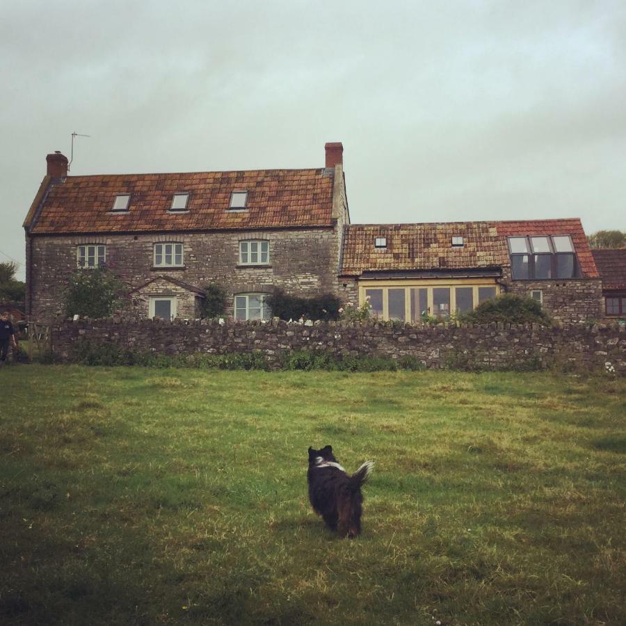 Castle Farm Bed & Breakfast Wedmore Bagian luar foto