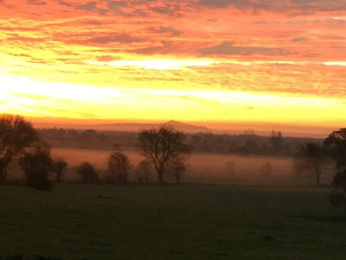 Castle Farm Bed & Breakfast Wedmore Bagian luar foto
