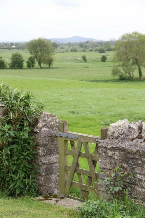 Castle Farm Bed & Breakfast Wedmore Bagian luar foto