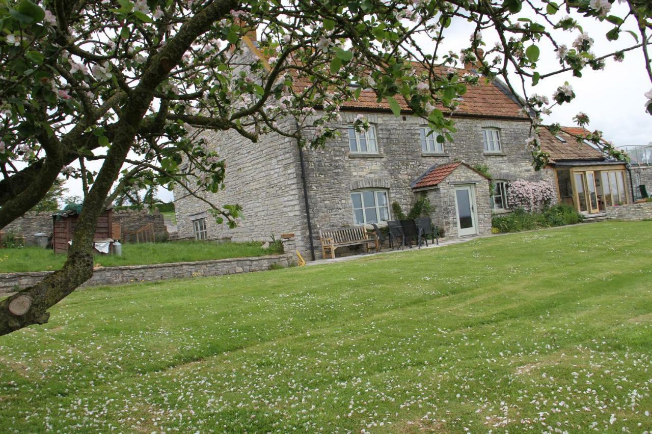 Castle Farm Bed & Breakfast Wedmore Bagian luar foto